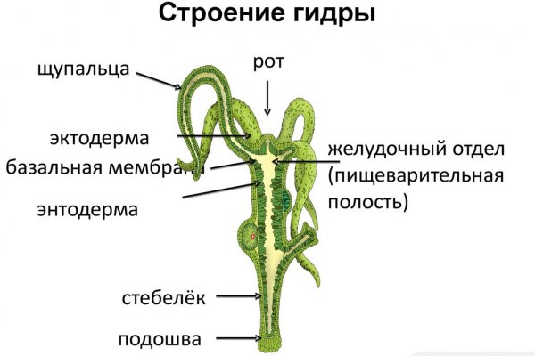 Как зайти на кракен в торе