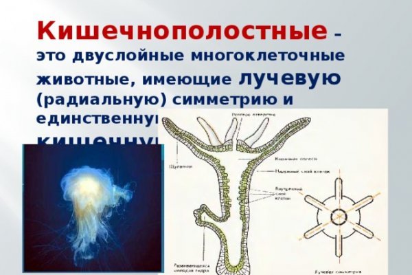 Кракен сайт kr2web in цены